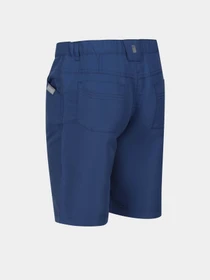 Шорты Regatta Sorcer Shorts II модель RKJ106-K16 Синій Фото
