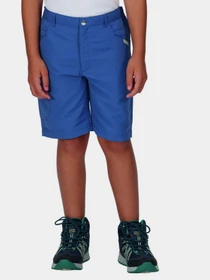 Шорты Regatta Sorcer Shorts II модель RKJ106-K16 Синій Фото