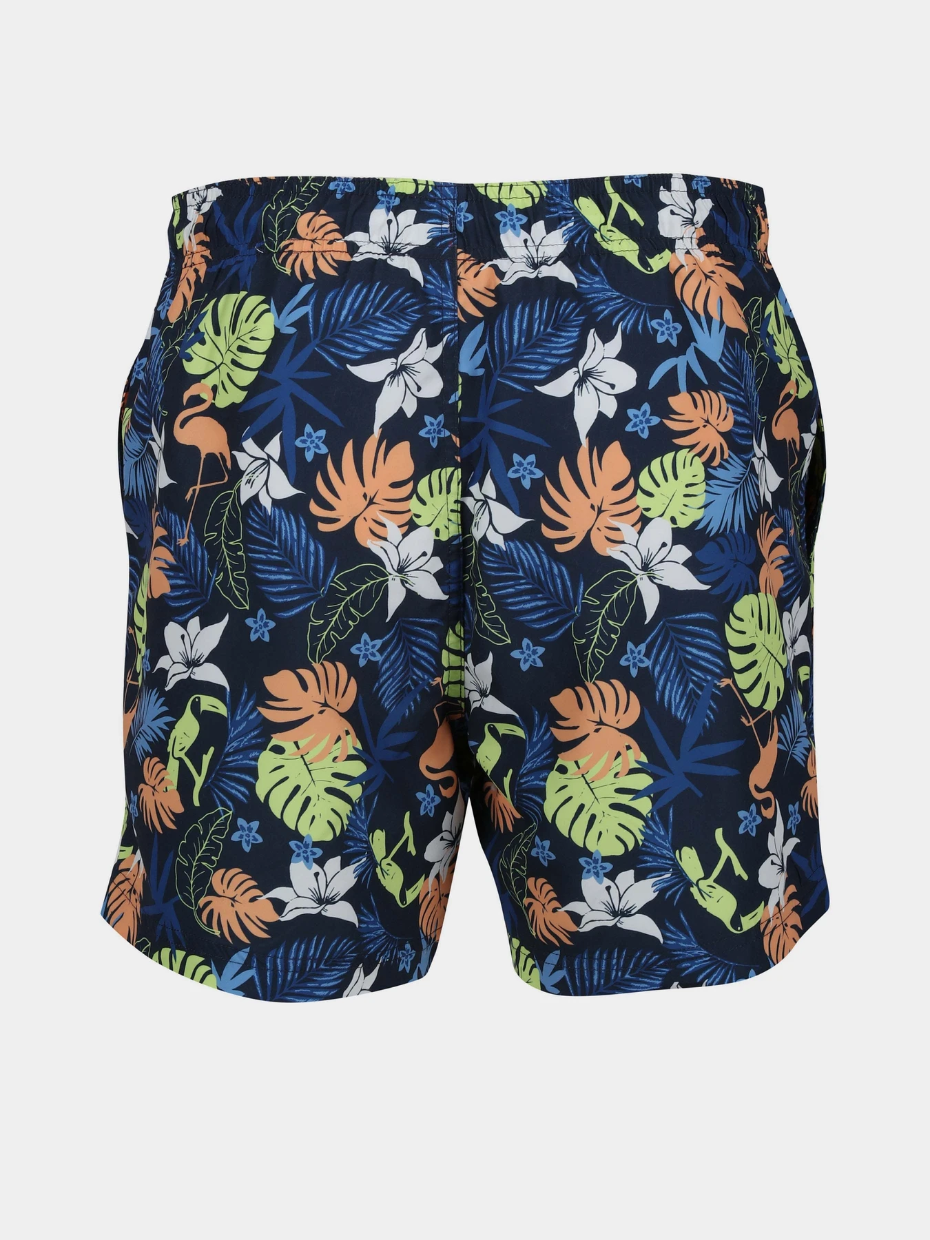Одежда для пляжа Regatta Loras Swim Short модель RMM014-JM4 Синій Фото