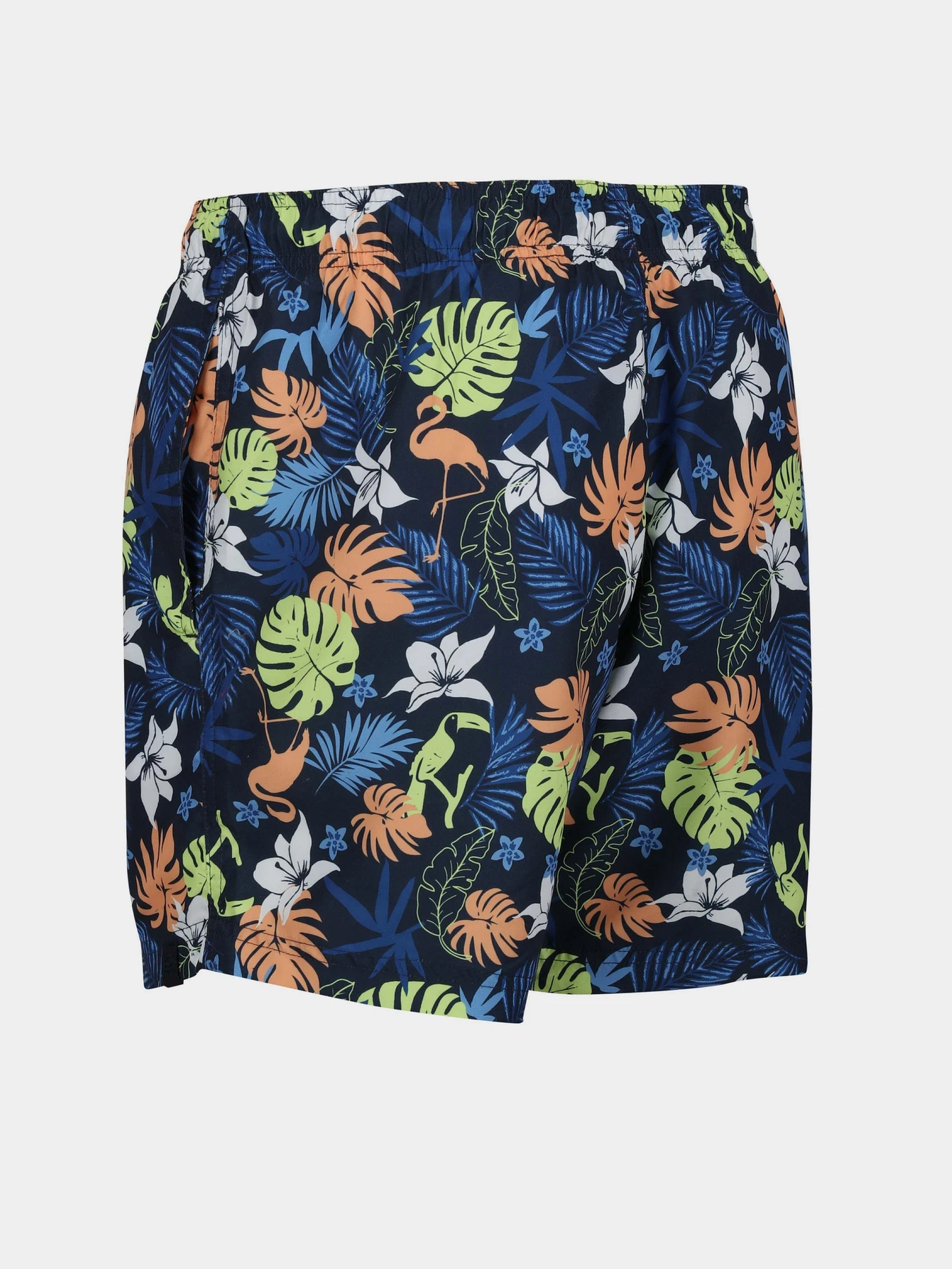 Одежда для пляжа Regatta Loras Swim Short модель RMM014-JM4 Синій Фото