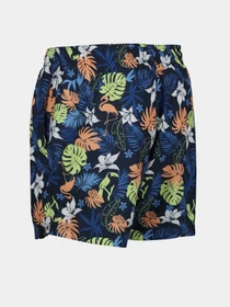 Одежда для пляжа Regatta Loras Swim Short модель RMM014-JM4 Синій Фото