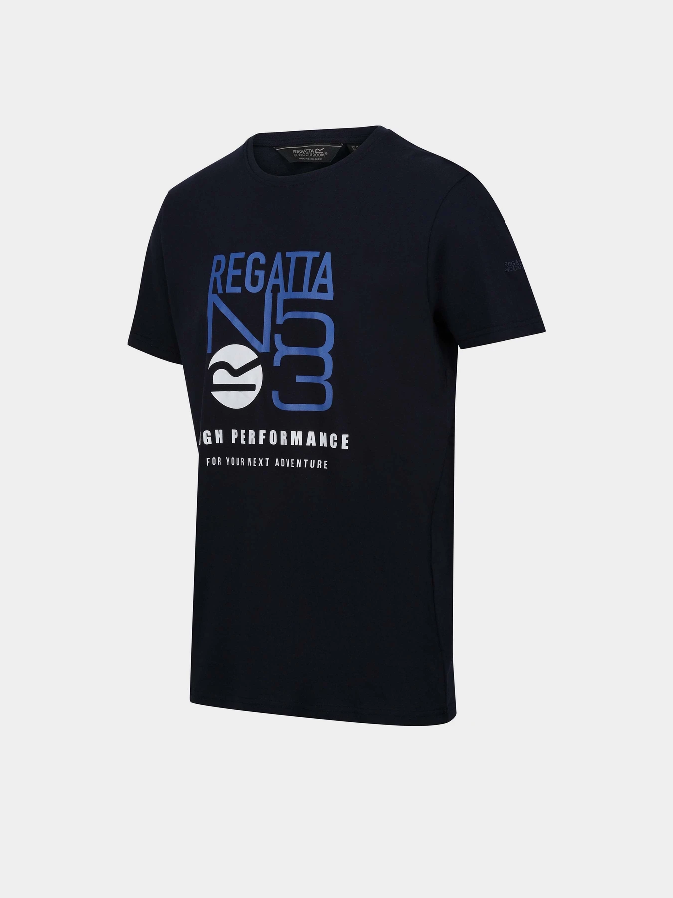 Футболки и поло Regatta Cline VII модель RMT263-G8A Синій Фото