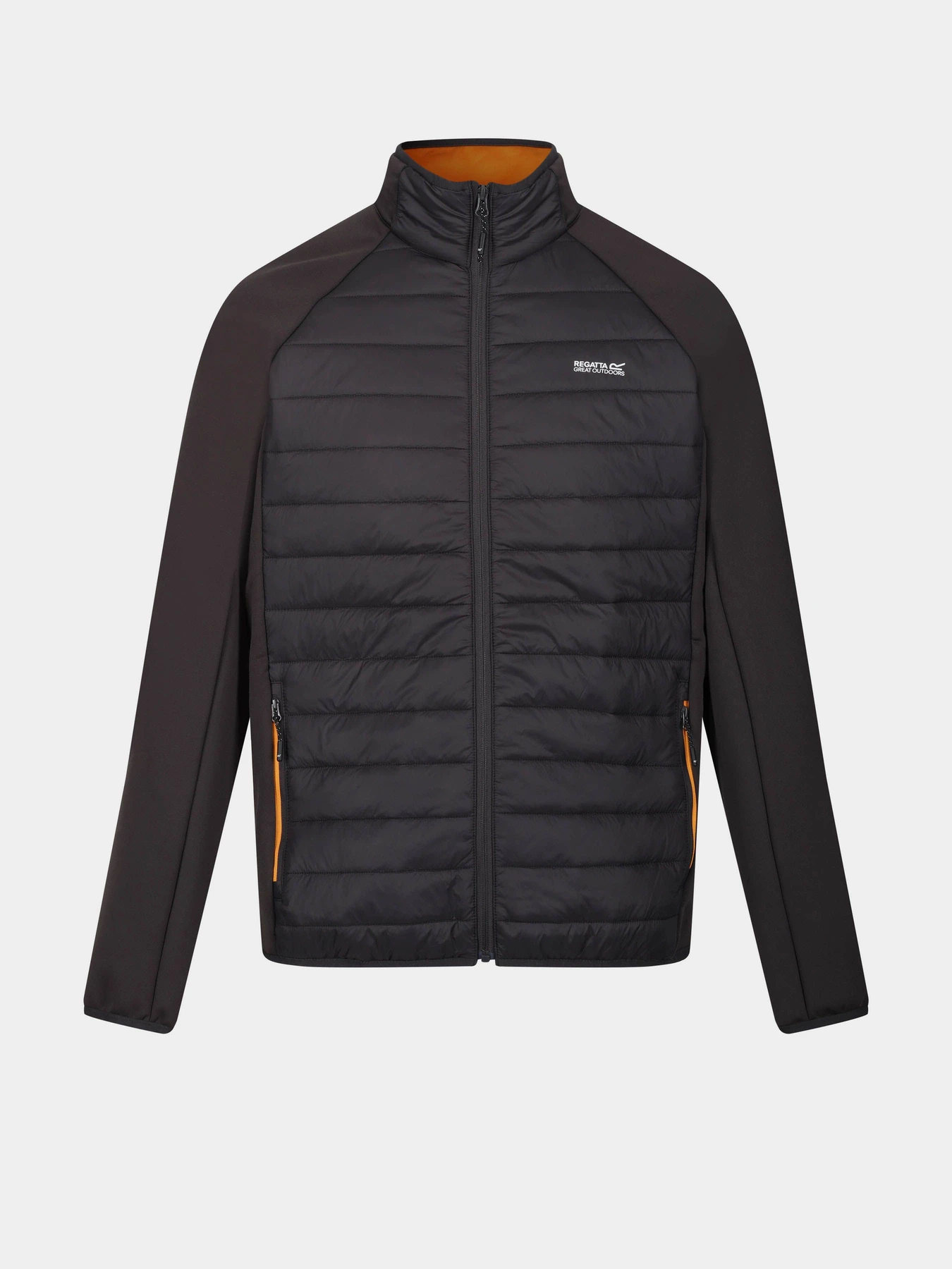 Куртки и дубленки Regatta Clumber IV Hybrid модель RMN226-LLS Чорний Куртки и дубленки Regatta Clumber IV Hybrid модель RMN226-LLS Чорний Фото
