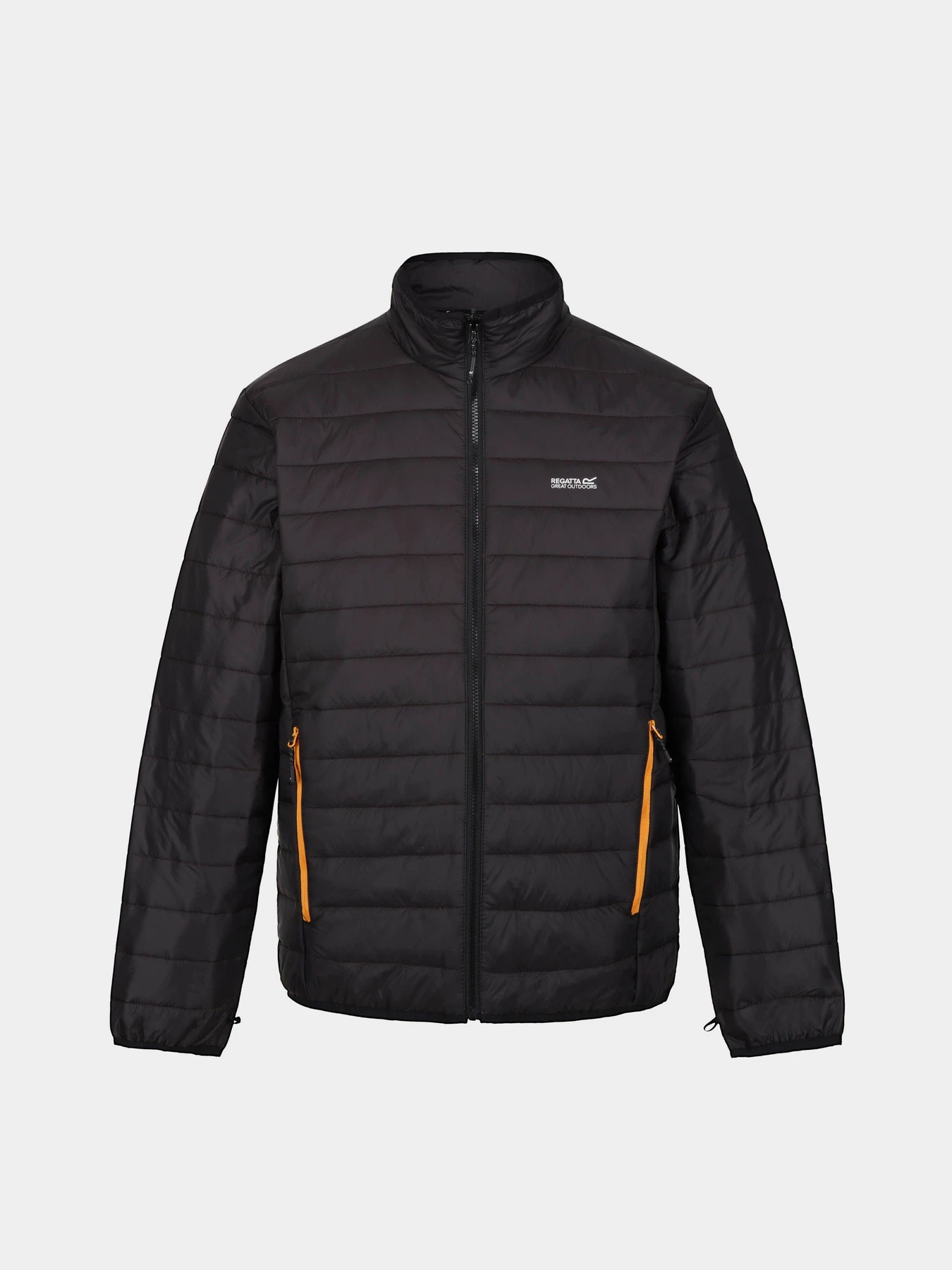 Куртки та дублянки Regatta Wentwood VIII модель RMP359-HZT Чорний Куртки та дублянки Regatta Wentwood VIII модель RMP359-HZT Чорний Фото