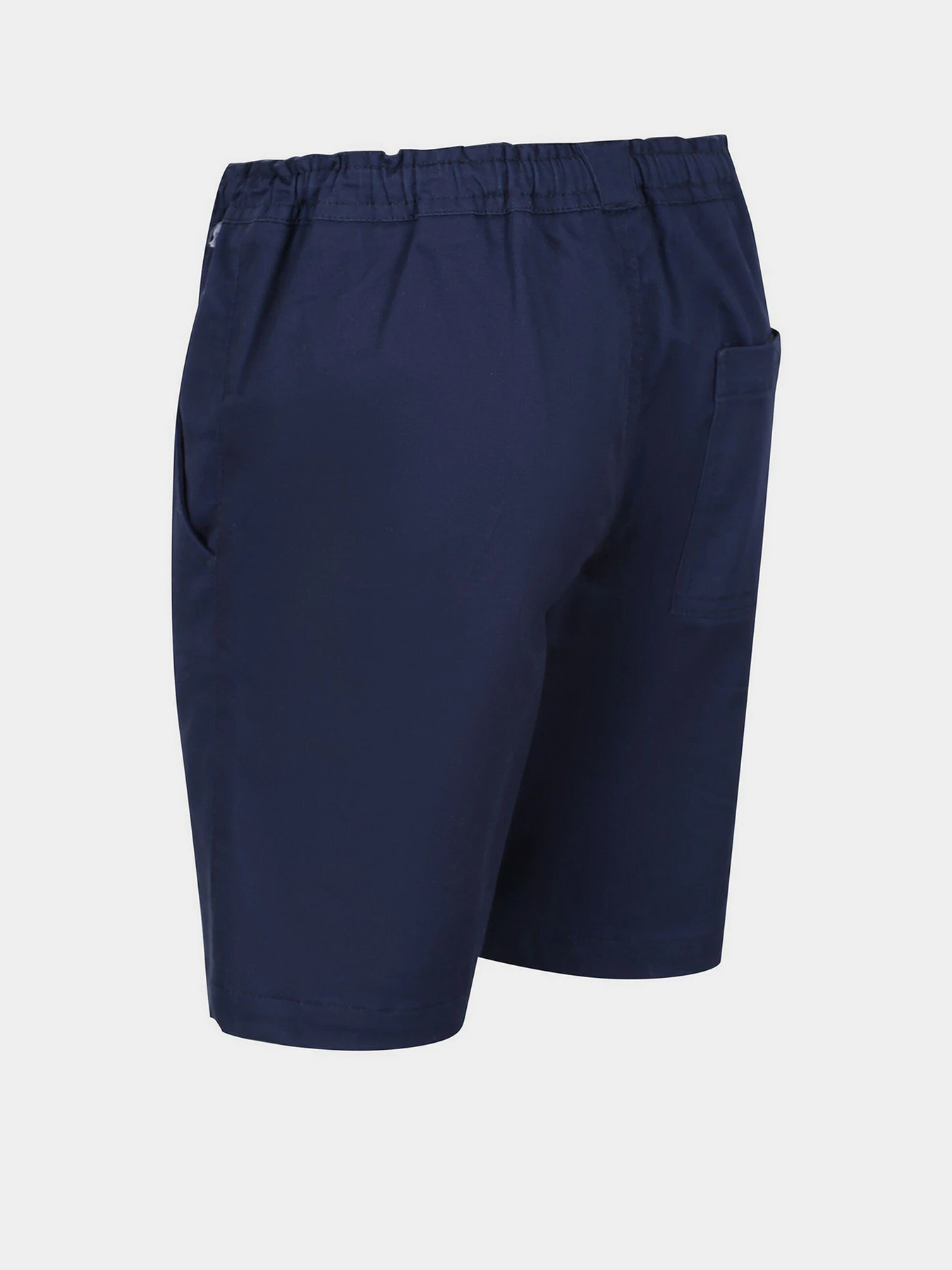 Шорти Regatta Alber модель RKJ120-8CI Шорти Regatta Alber модель RKJ120-8CI Фото