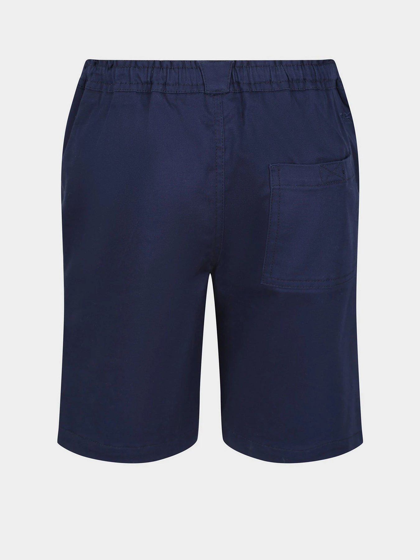 Шорти Regatta Alber модель RKJ120-8CI Шорти Regatta Alber модель RKJ120-8CI Фото
