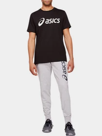 Штани Asics Big Logo модель 2031A977-021 Фото
