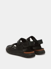 Сандалии PIKOLINOS модель M0B-0122-BLACK Фото