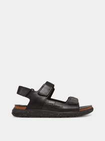 Сандалии PIKOLINOS модель M0B-0122-BLACK Фото