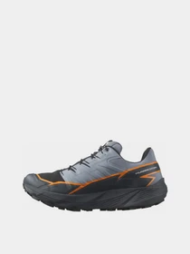 Кроссовки SALOMON Thundercross GTX модель L47383100 Фото