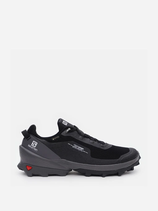 Кроссовки SALOMON  CROSS OVER GTX M модель L41286100 Фото