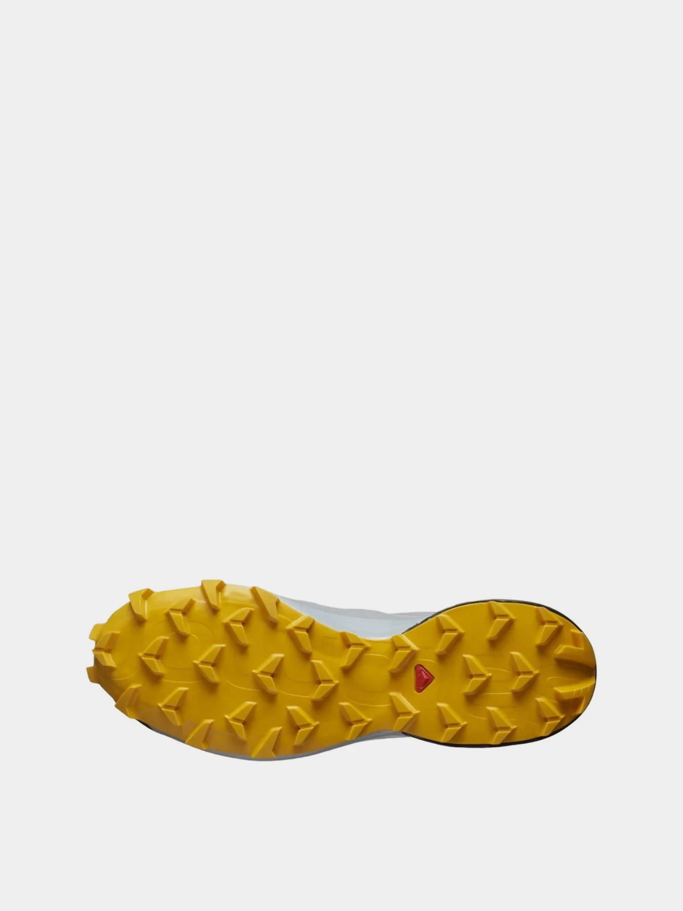 Кросівки SALOMON SPEEDCROSS 5 GORE-TEX модель L41461300 Фото