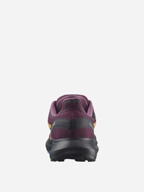 Кросівки SALOMON Hypulse GTX модель L41596500 Фото