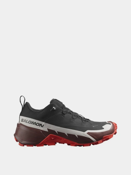 Кроссовки SALOMON HIKE GTX 2 модель L41730200 Фото