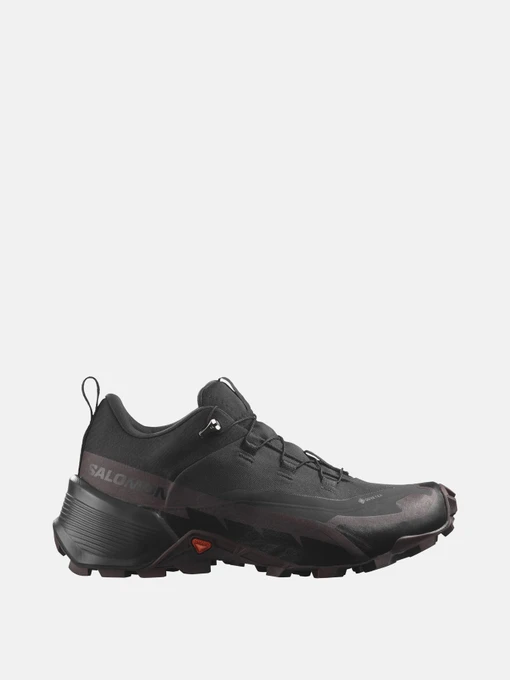 Кросівки SALOMON  HIKE GTX 2 W модель L41730500 Фото