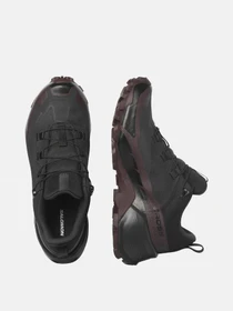Кроссовки SALOMON HIKE GTX 2 W модель L41730500 Фото