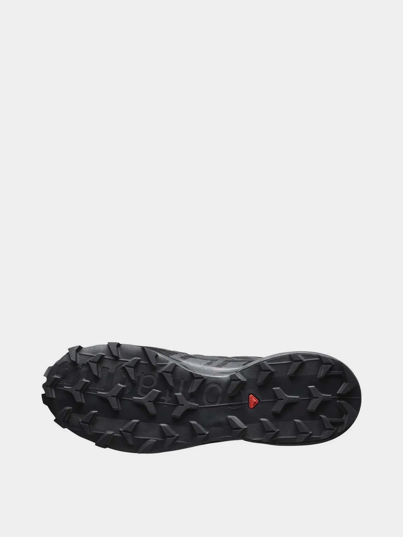 Кросівки SALOMON Speedcross 6 GTX модель L41738600 Кросівки SALOMON Speedcross 6 GTX модель L41738600 Фото