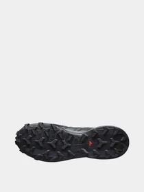 Кросівки SALOMON Speedcross 6 GTX модель L41738600 Фото