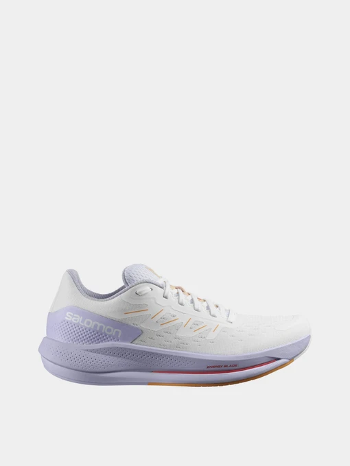 Кроссовки SALOMON Spectur модель L41589400 Фото