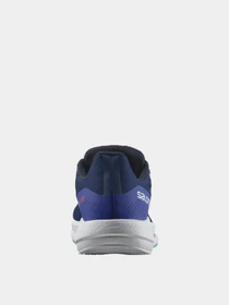 Кроссовки SALOMON Spectur модель L41589900 Фото