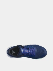 Кроссовки SALOMON Spectur модель L41589900 Фото