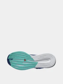 Кроссовки SALOMON Spectur модель L41589900 Фото