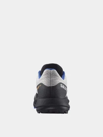Кроссовки SALOMON Pulsar Trail модель L41602700 Фото