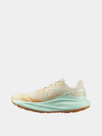 Кросівки SALOMON Glide Max TR модель L47120300 Фото