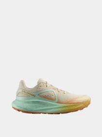 Кросівки SALOMON Glide Max TR модель L47120300 Фото