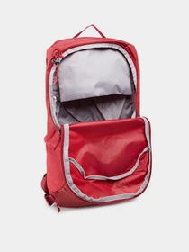 Рюкзаки SALOMON TRAILBLAZER 10 модель LC1520100 Фото