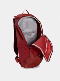 Рюкзаки SALOMON TRAILBLAZER 10 модель LC1520100 Фото