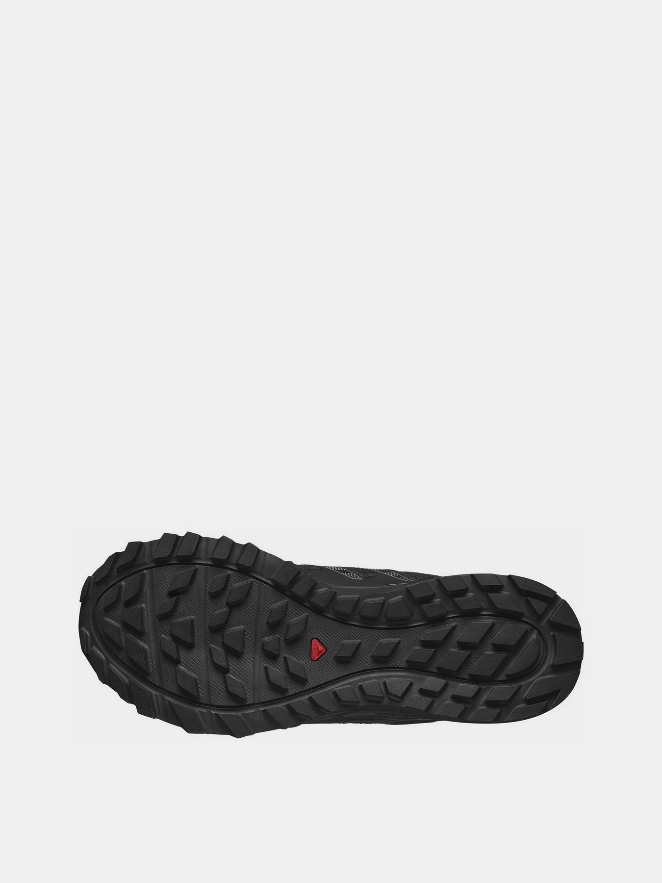 Кросівки SALOMON Wander GTX модель L47148400 Фото