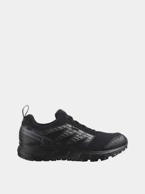 Кроссовки SALOMON Wander GTX модель L47148400 Фото