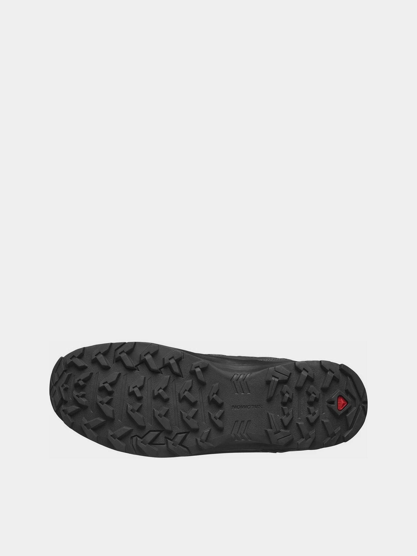 Ботинки и сапоги SALOMON X Braze Mid GORE-TEX модель L47174800 Ботинки и сапоги SALOMON X Braze Mid GORE-TEX модель L47174800 Фото
