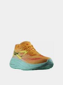 Кросівки SALOMON Aero Glide модель L47279700 Фото