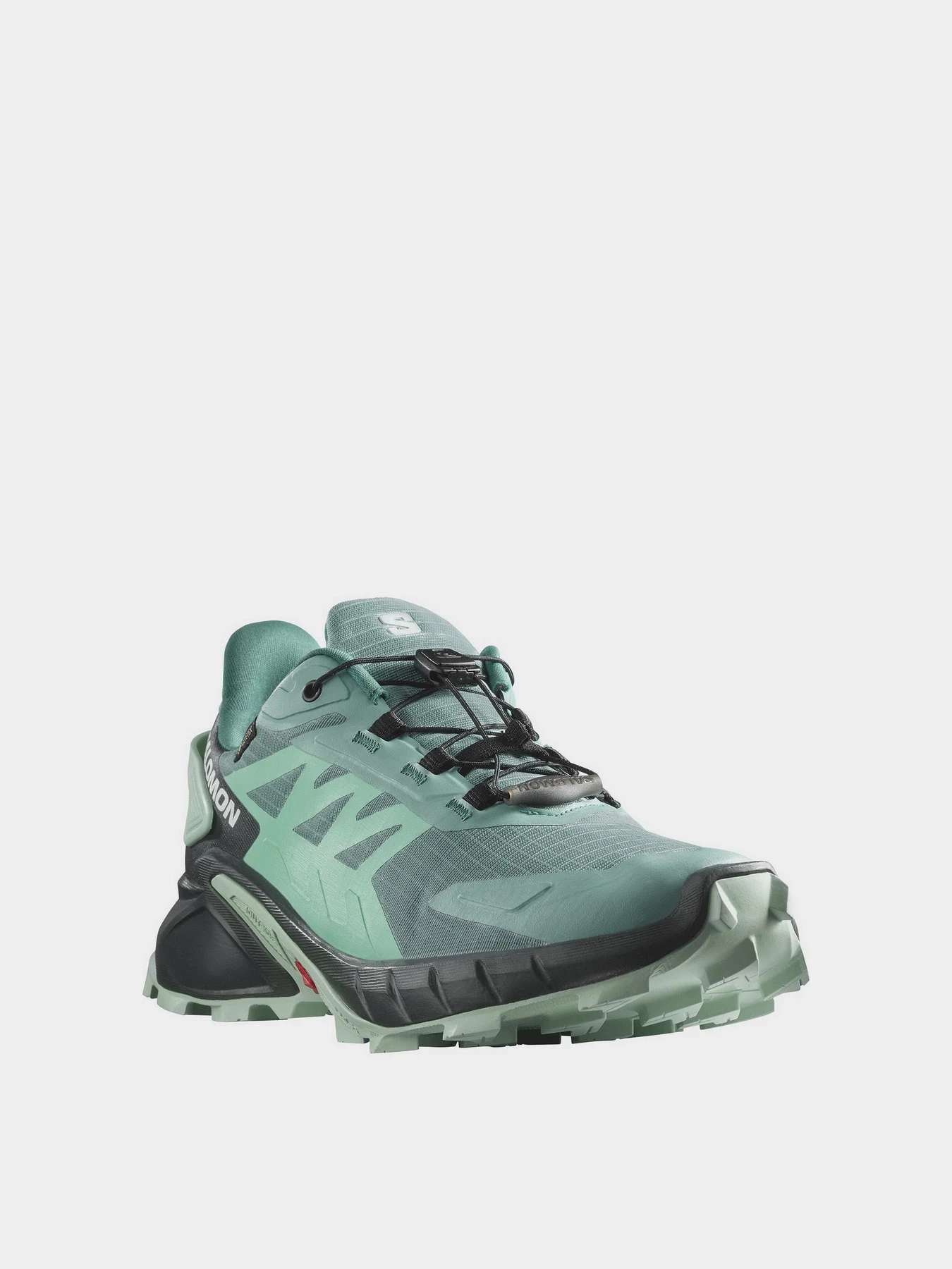 Кросівки SALOMON Supercross 4 GORE-TEX модель L47316900 Фото