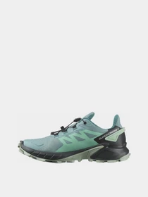 Кросівки SALOMON Supercross 4 GORE-TEX модель L47316900 Фото