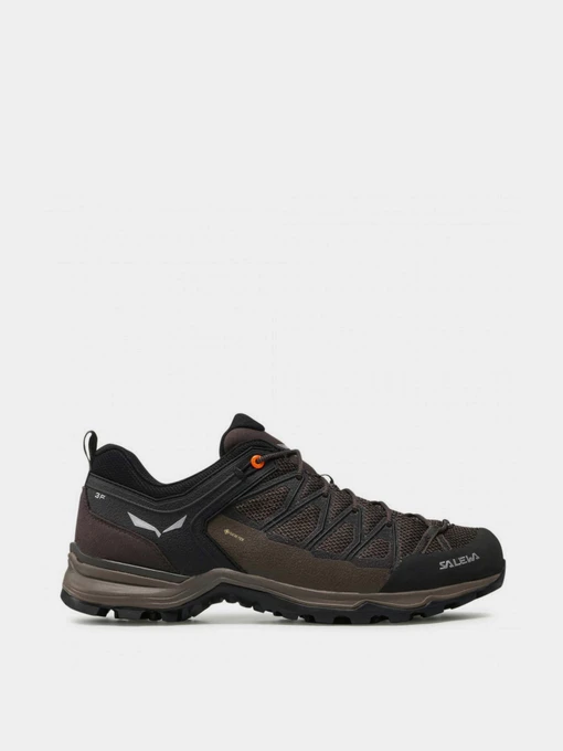 Кросівки Salewa MTN Trainer Lite GTX модель 61361 7512 Фото