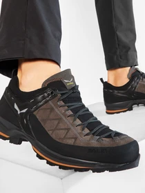 Кроссовки Salewa Mtn Trainer 2 модель 61371 7512 Фото
