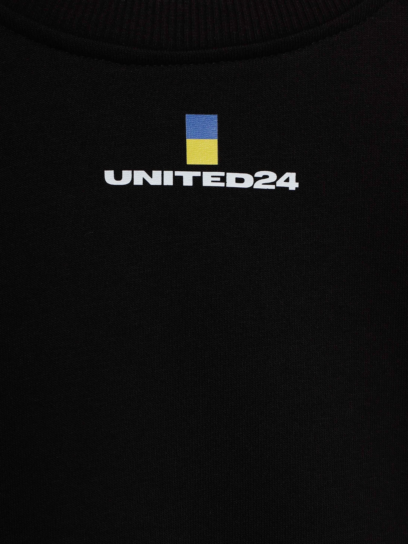 Худі та світшоти INTERTOP модель 229-8 Худі та світшоти INTERTOP модель 229-8 Фото