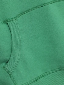 Худи и свитшоты Superdry модель RN1276856_зелений з білим Фото