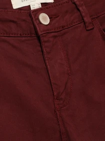 Брюки SPRINGFIELD модель 6838375_бордовий Фото