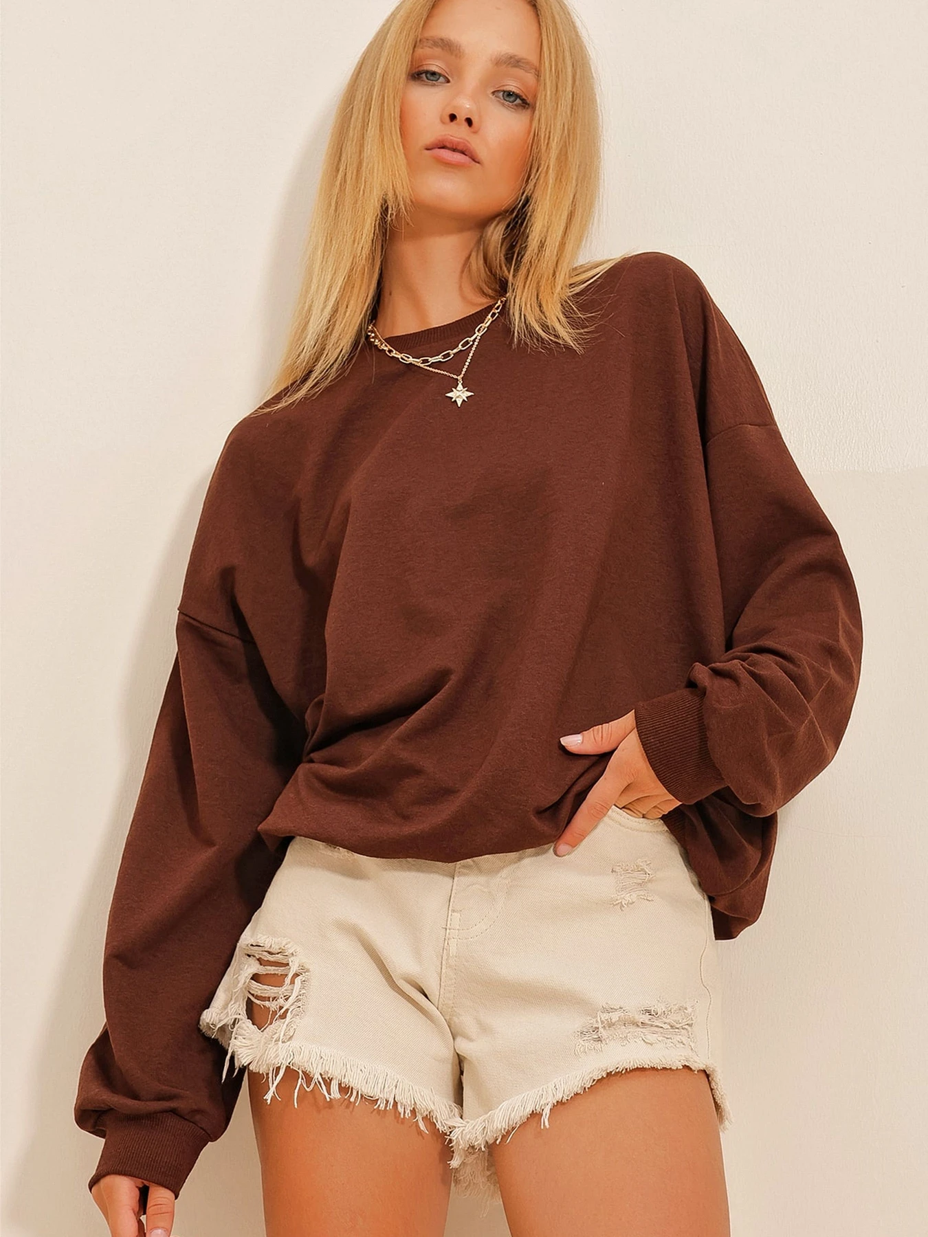 Худі та світшоти Trend Alacati Stili модель ALC-669-001/ACi KAHVE Худі та світшоти Trend Alacati Stili модель ALC-669-001/ACi KAHVE Фото