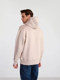 Худі та світшоти Tommy Hilfiger модель DM0DM06593-ABM Фото