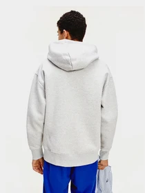 Худі та світшоти Tommy Hilfiger модель DM0DM06593-PJ4 Фото