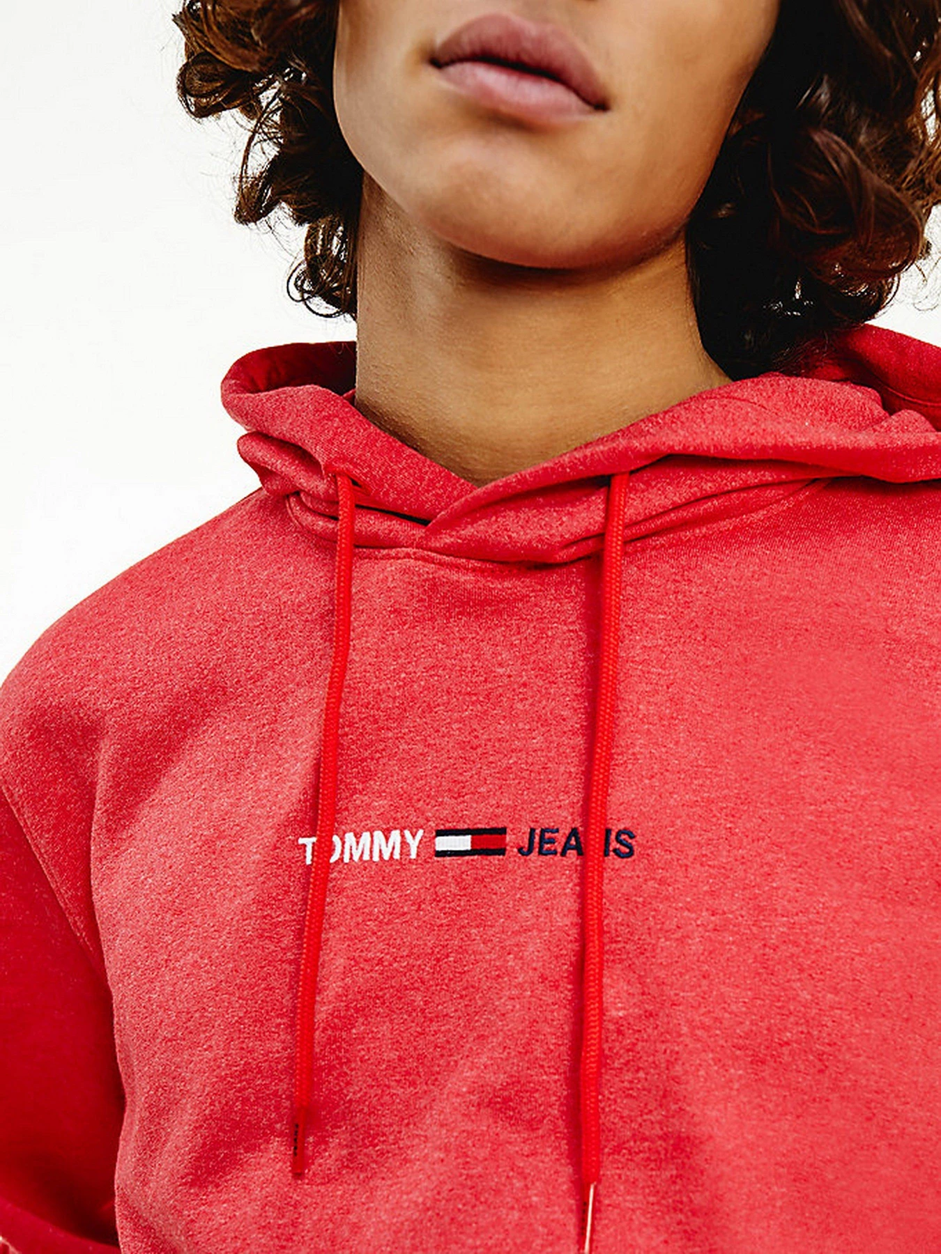 Худі та світшоти Tommy Hilfiger модель DM0DM10190-TWB Худі та світшоти Tommy Hilfiger модель DM0DM10190-TWB Фото