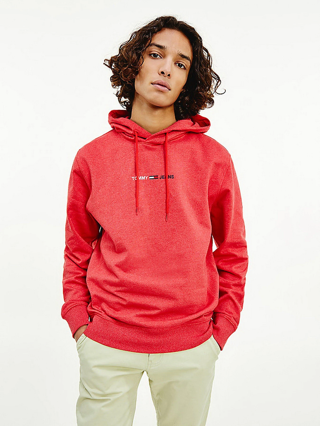 Худі та світшоти Tommy Hilfiger модель DM0DM10190-TWB Худі та світшоти Tommy Hilfiger модель DM0DM10190-TWB Фото