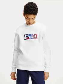 Худі та світшоти Tommy Hilfiger модель DM0DM10202-YBR Фото