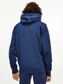 Худі та світшоти Tommy Hilfiger модель DM0DM10208-C87 Фото