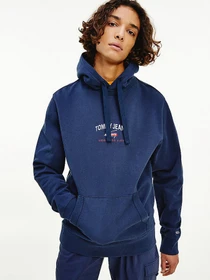 Худі та світшоти Tommy Hilfiger модель DM0DM10208-C87 Фото